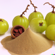 Amla Fruit Powder